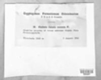 Image Associated With the Occurence